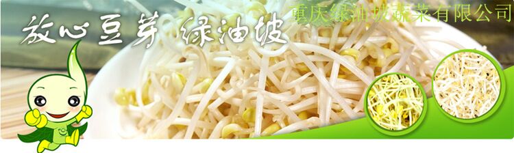 重庆绿豆芽蔬菜